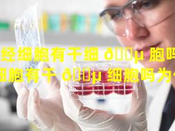 神经细胞有干细 🌵 胞吗（神经细胞有干 🌵 细胞吗为什么）